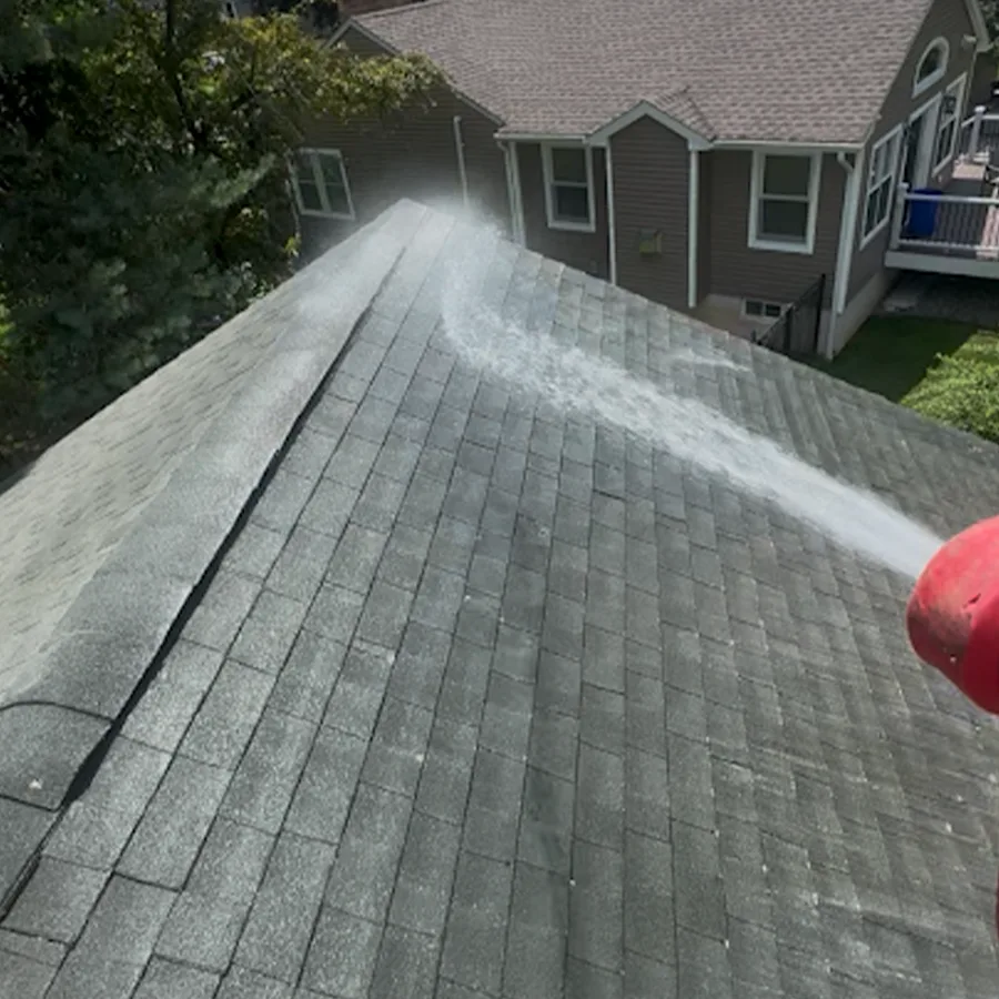 roof-cleaning-6