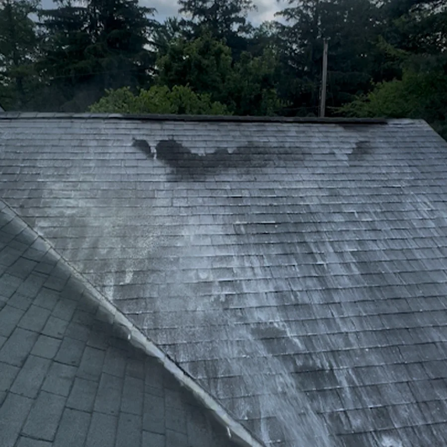 roof-cleaning-67